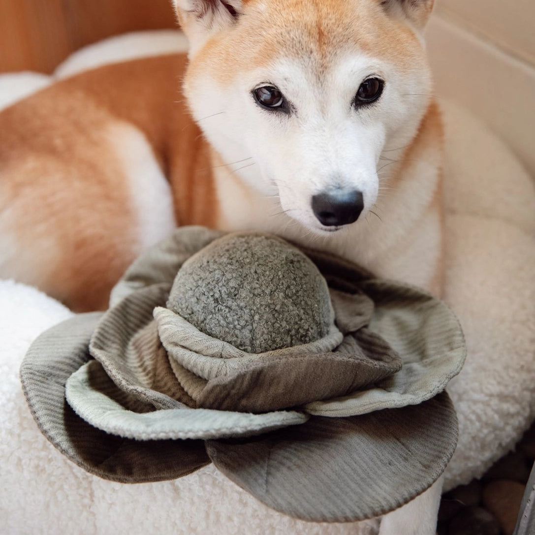 Enrichment Dog Toy