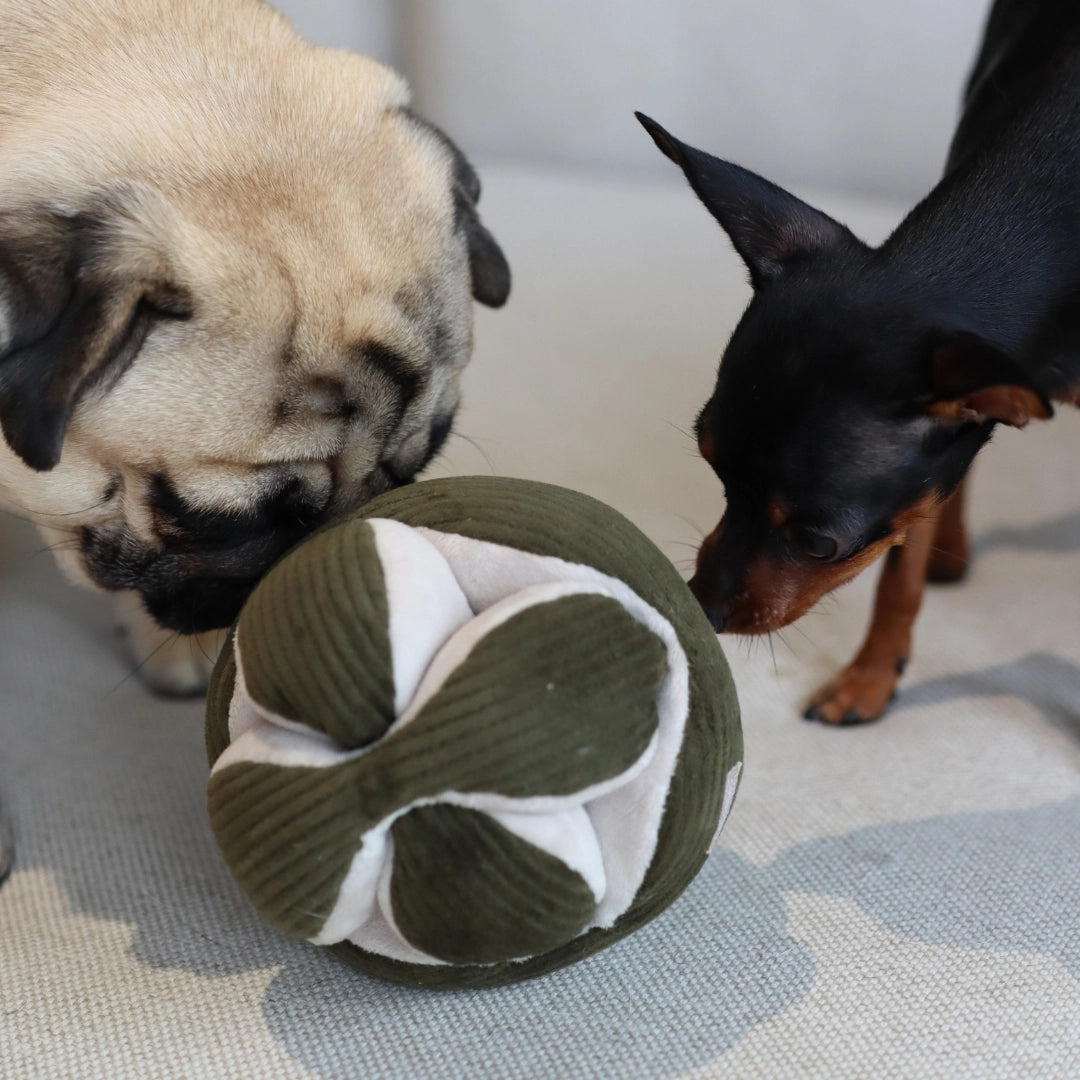 Monti Enrichment Toy